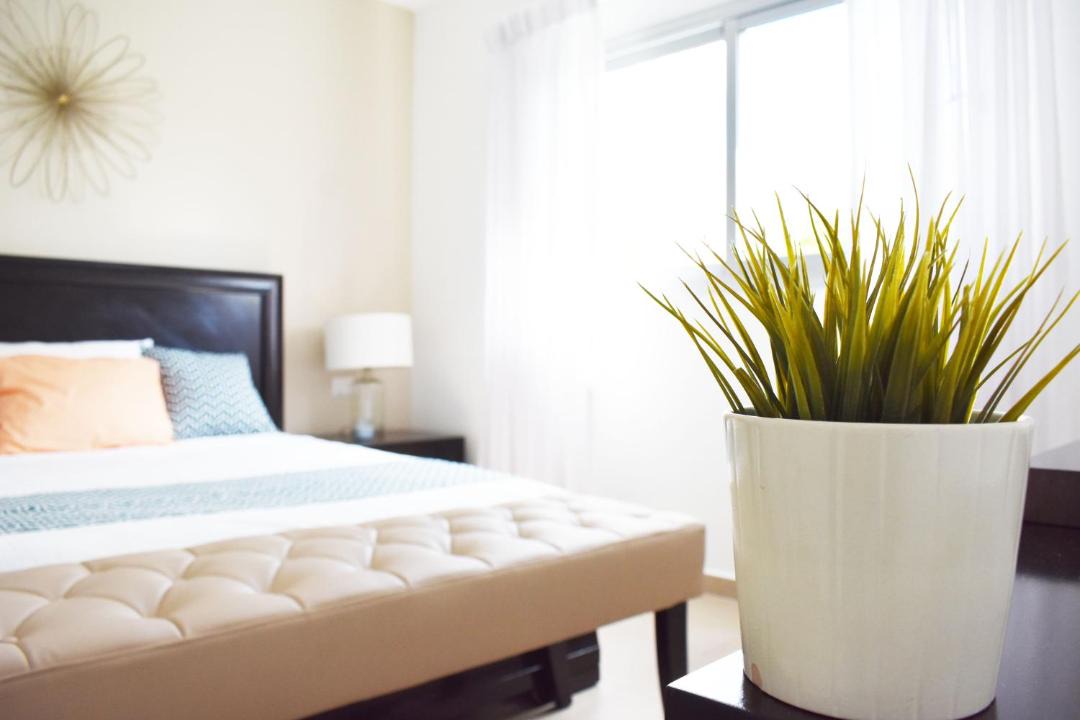 Photo of Bedroom in El Soco