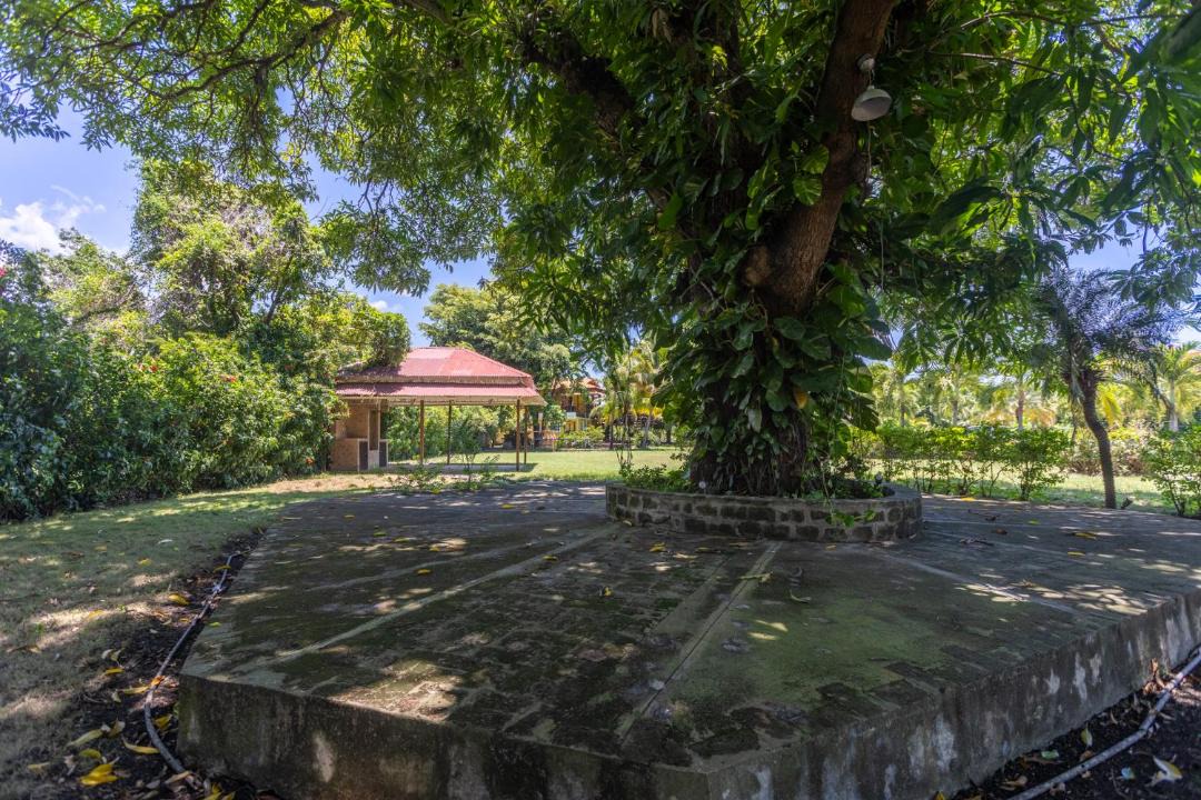 Photo of Others in Villa Gonzalez