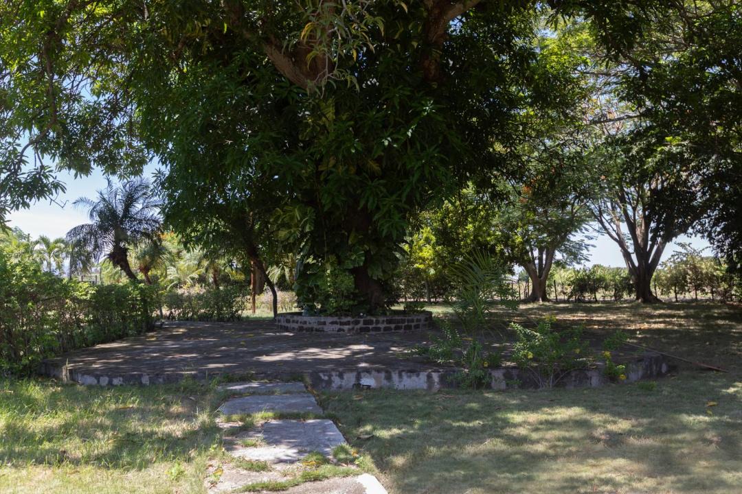 Photo of Others in Villa Gonzalez