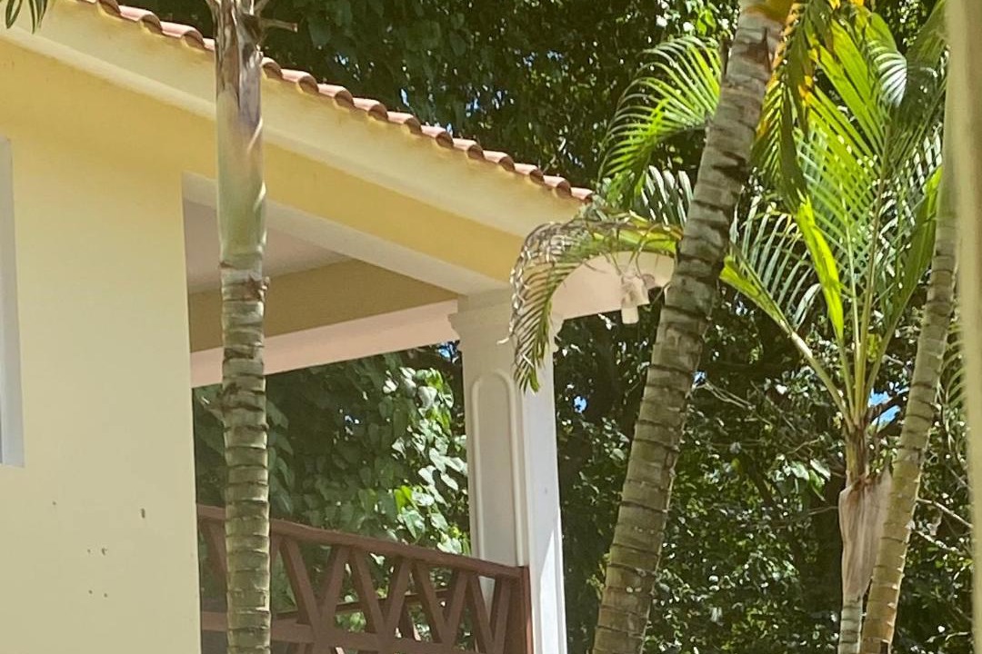 Photo of Others in Puerto Bahia