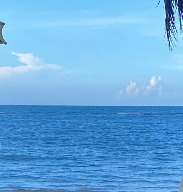 Photo of Others in Puerto Bahia
