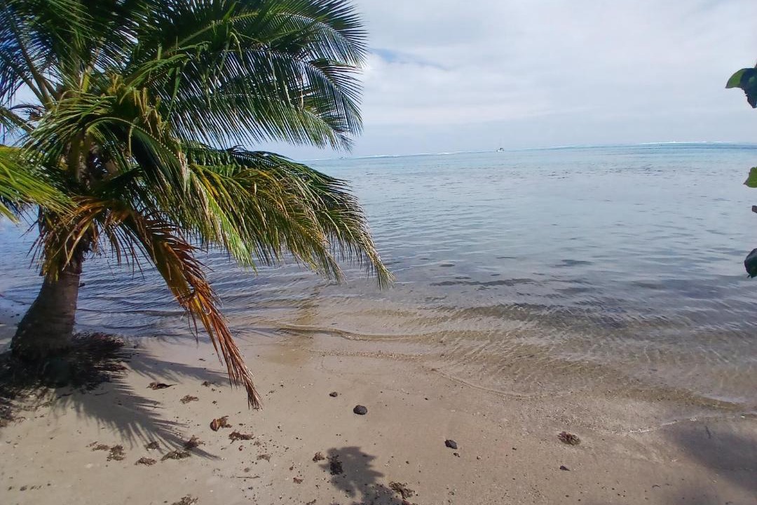 Photo of Others in Ha'apiti