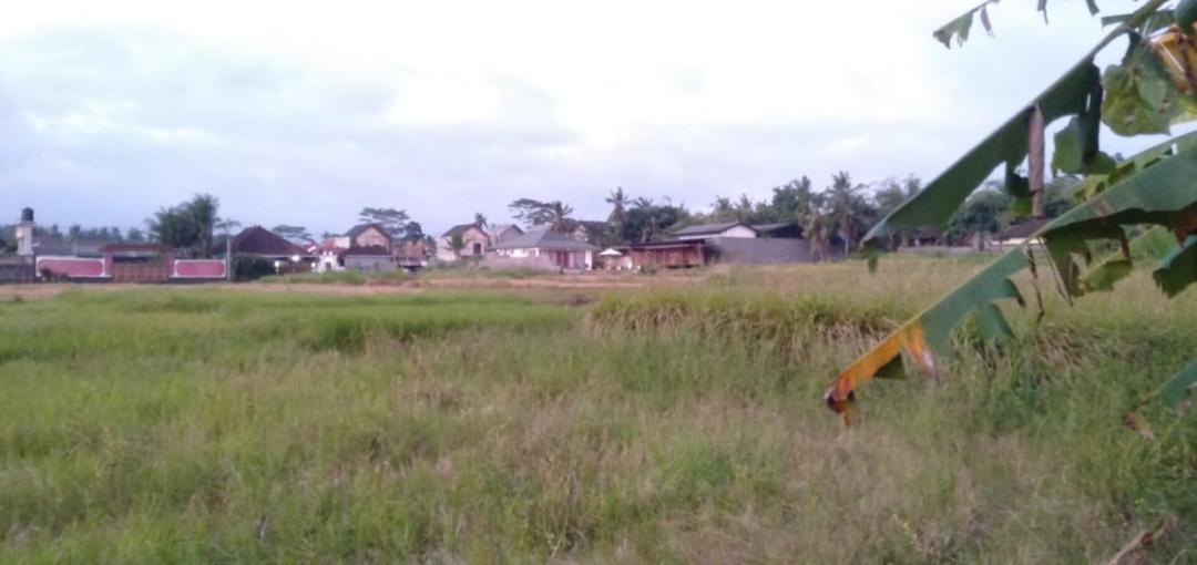 Photo of Others in Lodtunduh
