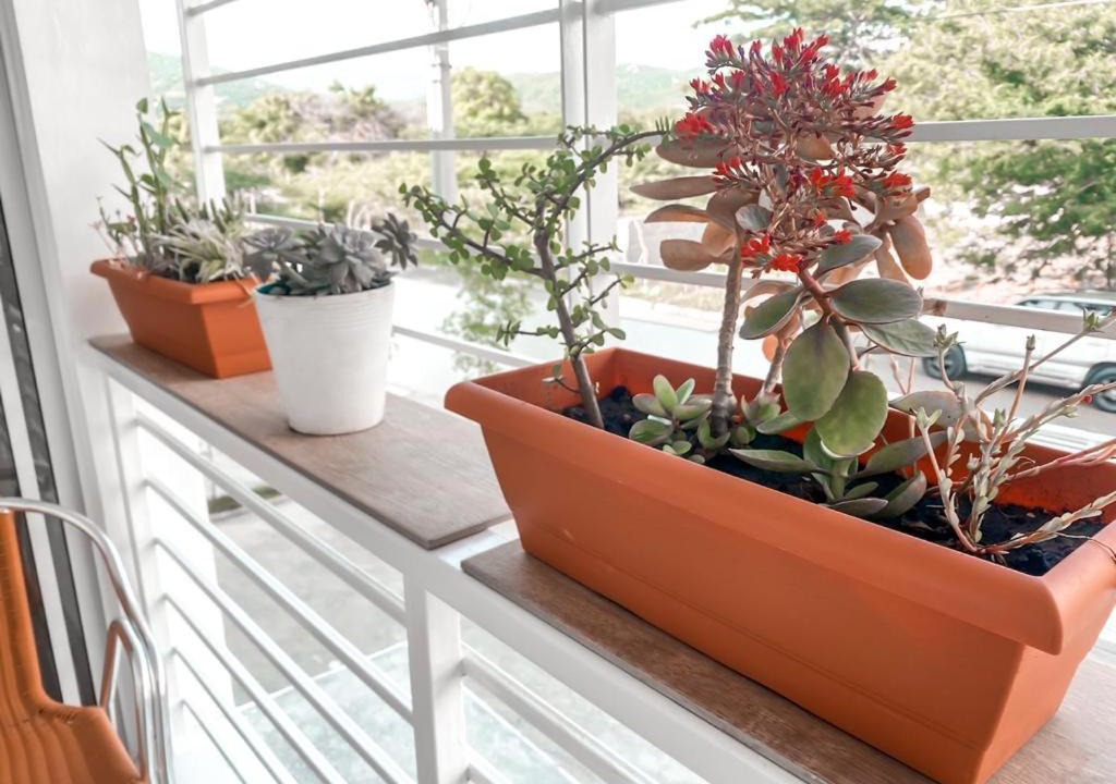 Photo of Patio Balcony in Santiago de los Caballeros
