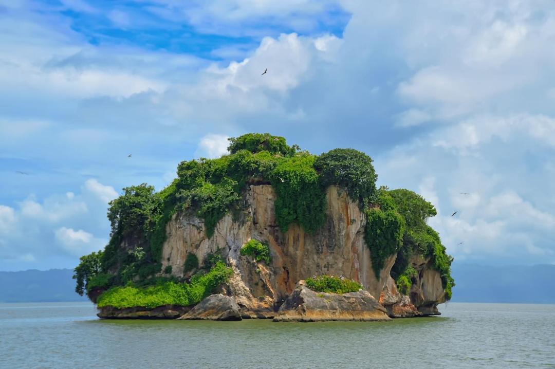 Photo of Others in Puerto Bahia