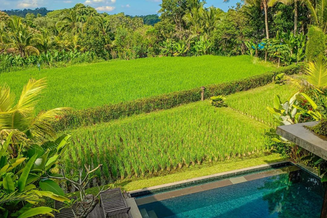 Photo of Others in Payangan
