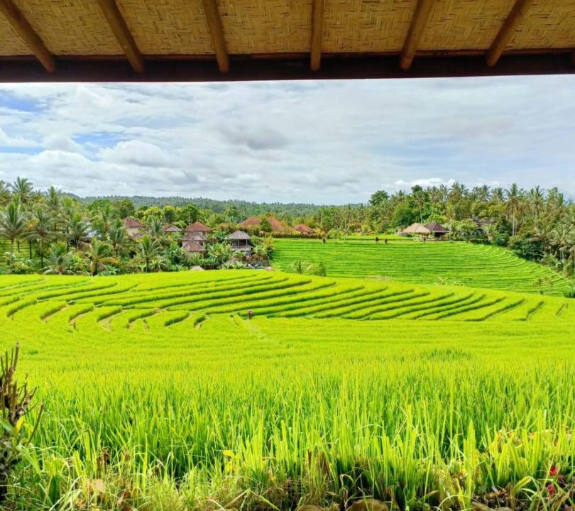 Photo of Others in East Selemadeg