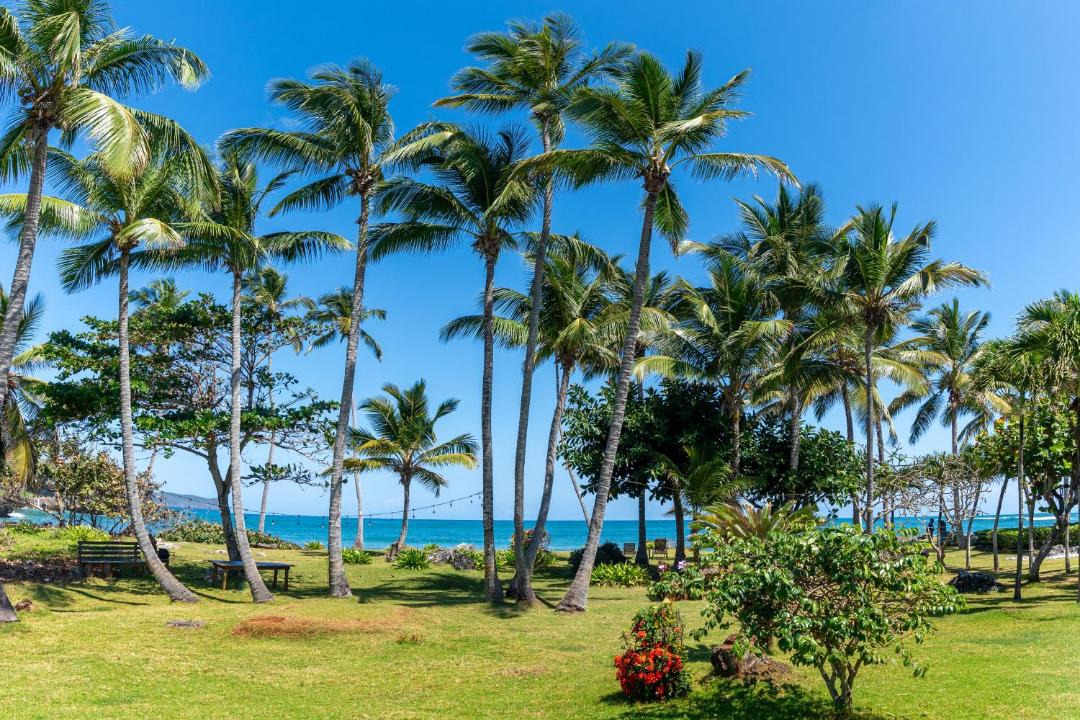Photo of Others in Las Galeras
