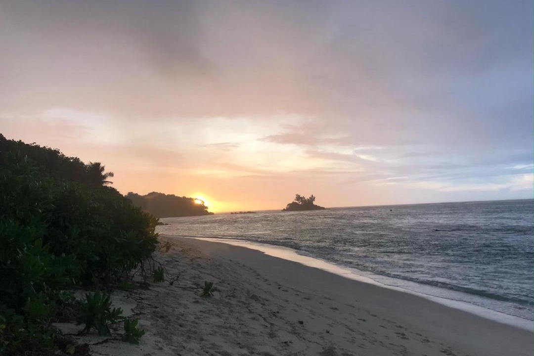 Photo of Others in Anse Royale