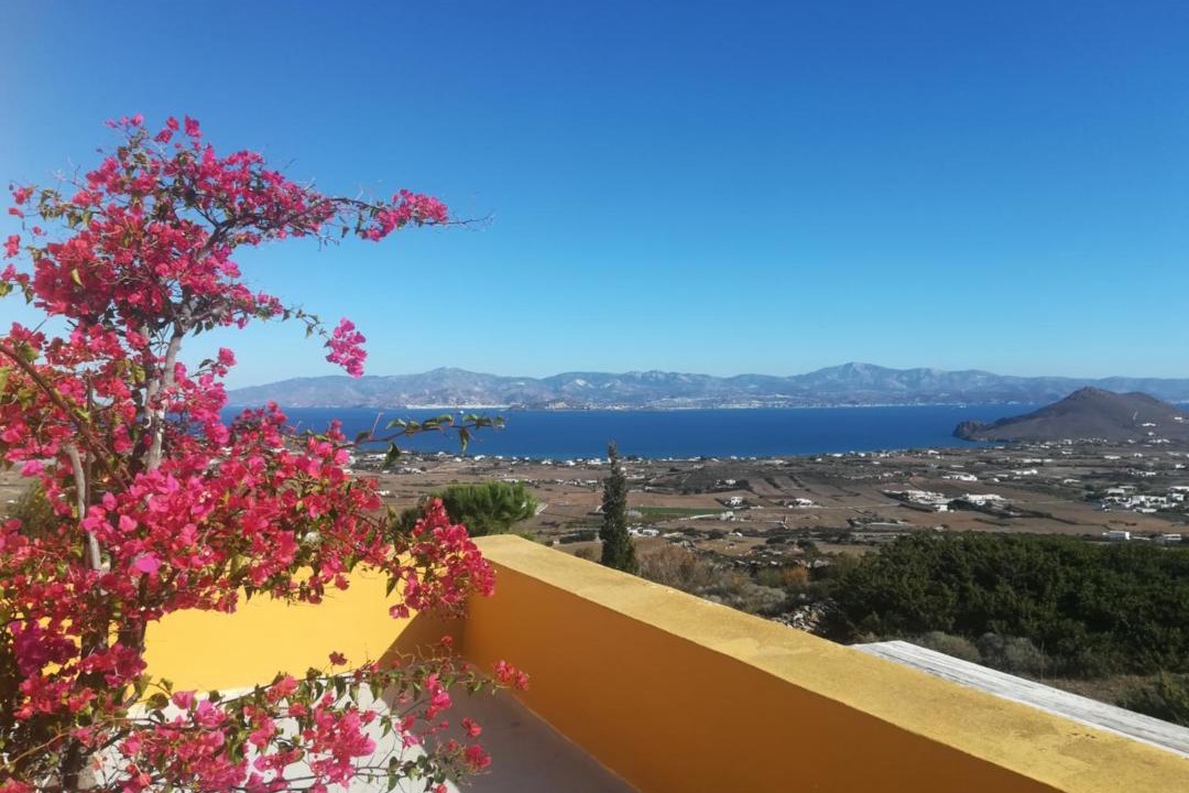 Photo of Others in Paros