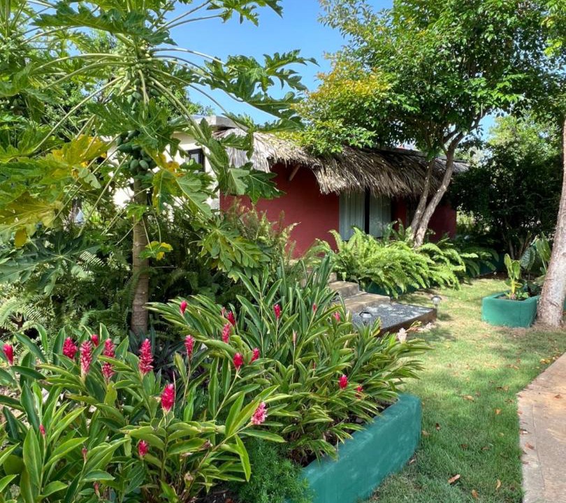 Photo of Outdoor in Samana