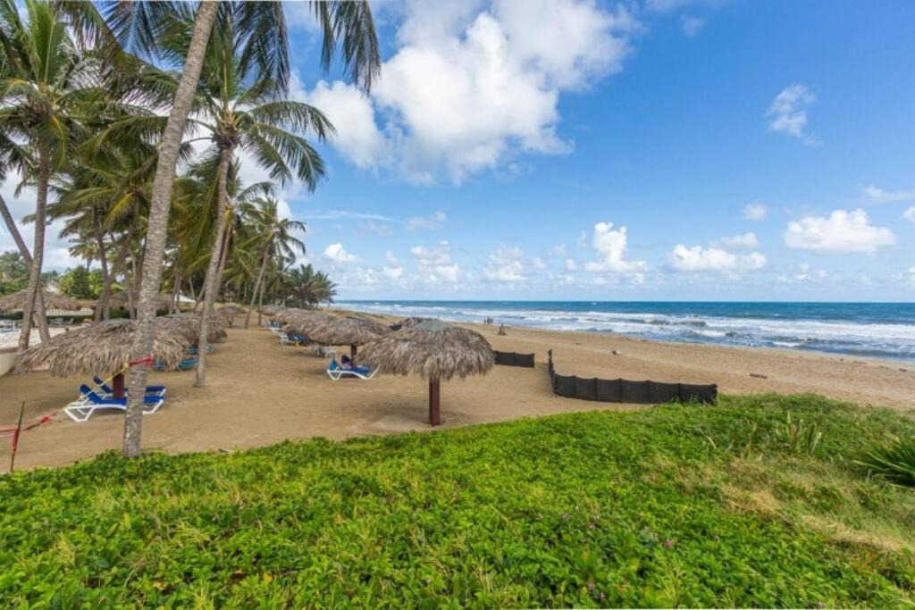 Photo of Others in Cabarete