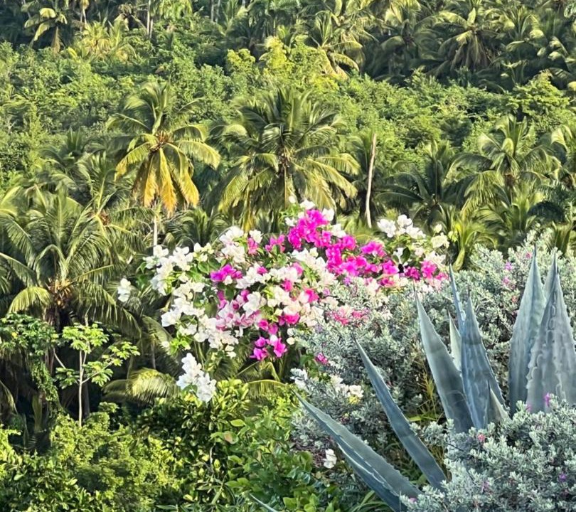 Photo of Others in Las Terrenas