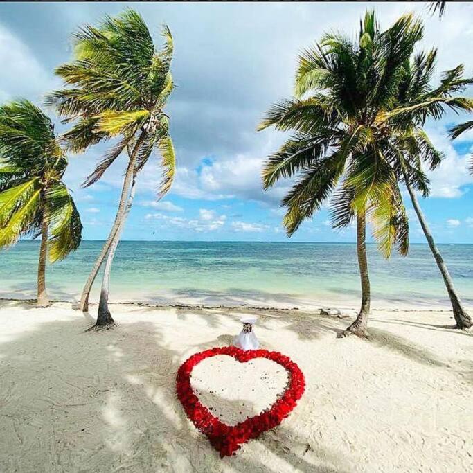 Photo of Others in Punta Cana