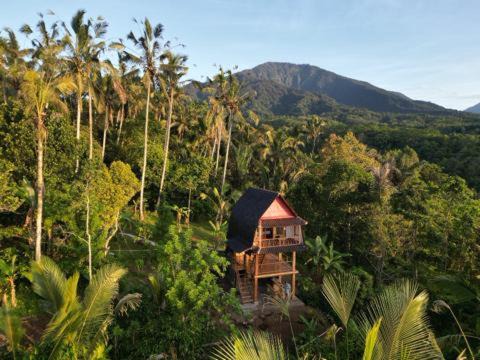 Photo of Outdoor in Selemadeg