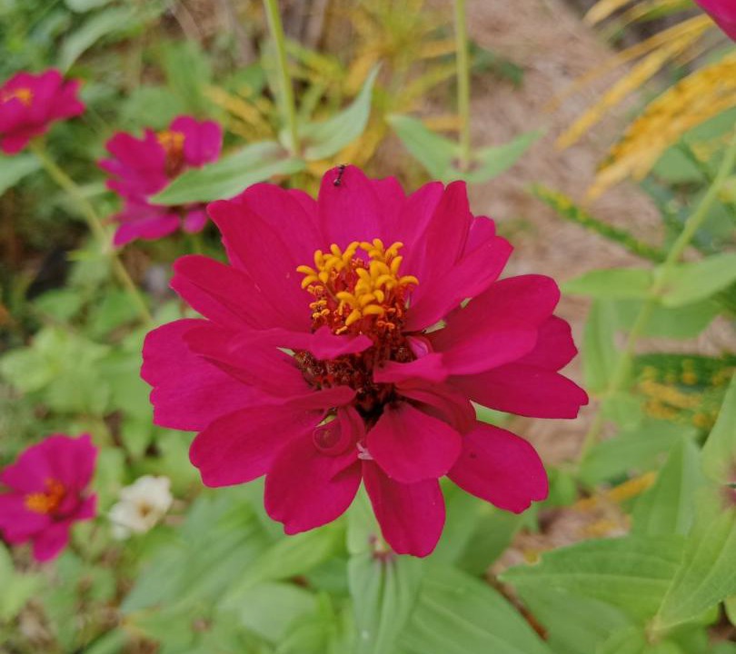 Photo of Outdoor in Sukasada
