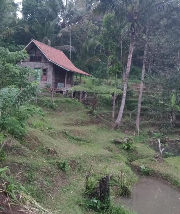 Photo of Others in Wongaya Gede
