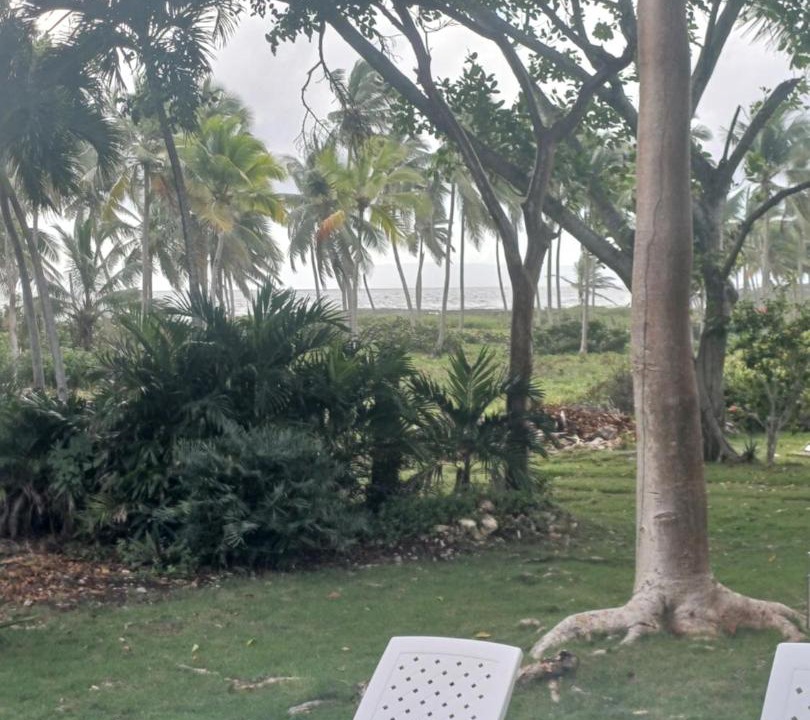 Photo of Others in Samana