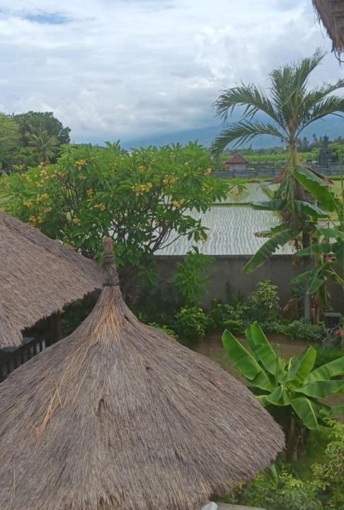 Photo of Others in Umeanyar