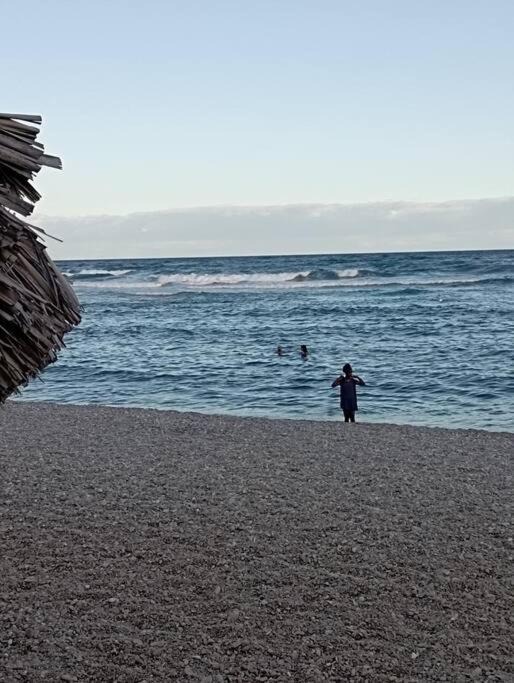Photo of Human In Picture in Paraiso