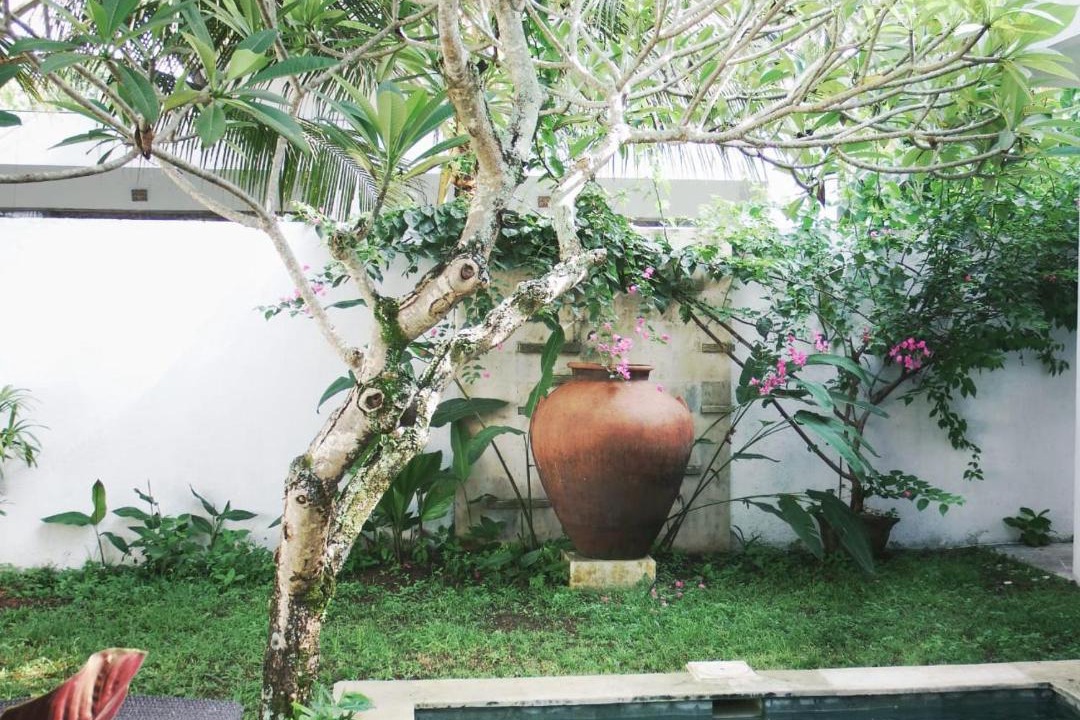 Photo of Others in Pekutatan