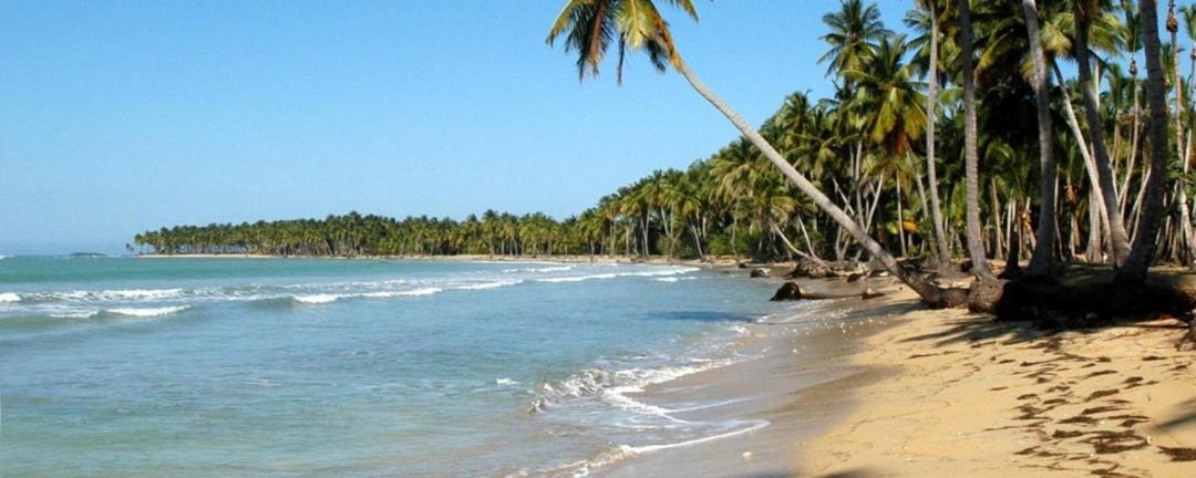Photo of Others in Las Galeras