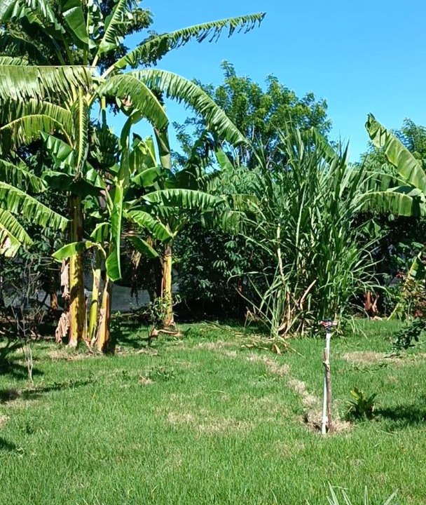 Photo of Others in Imbert