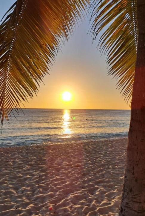 Photo of Others in Dominicus