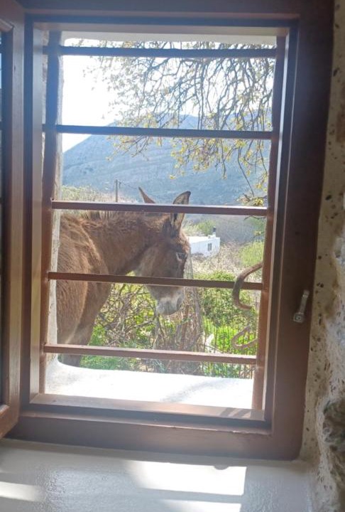 Photo of Others in Aperathos