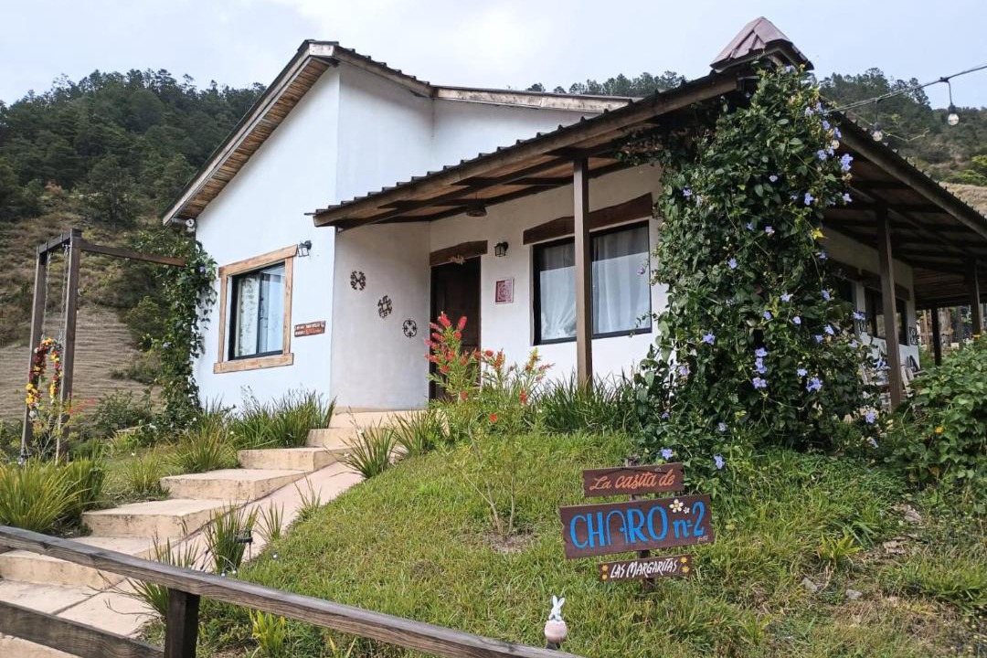 Photo of Others in Constanza
