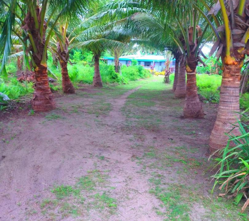 Photo of Others in Matathawa Island