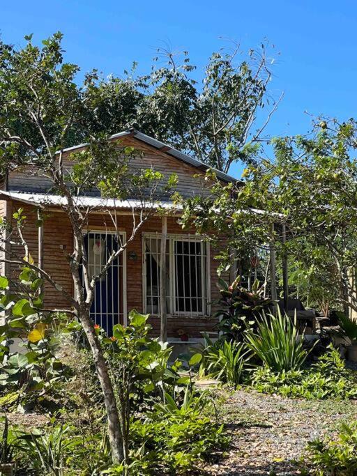Photo of Buildings in Miches