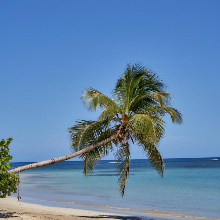 Photo of Others in Las Terrenas