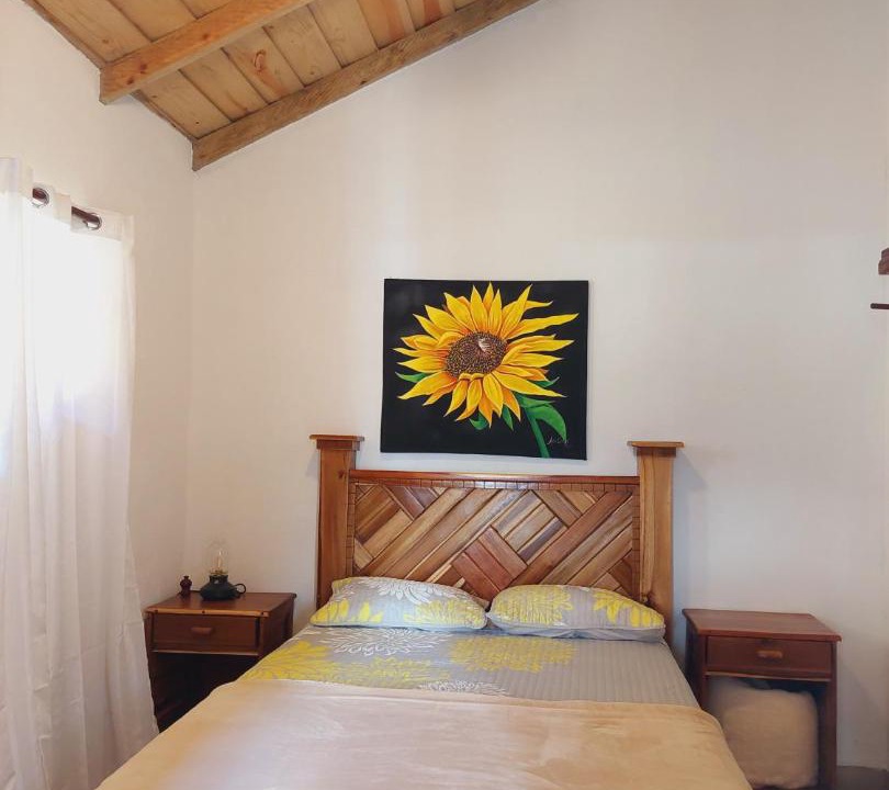 Photo of Bedroom in Constanza