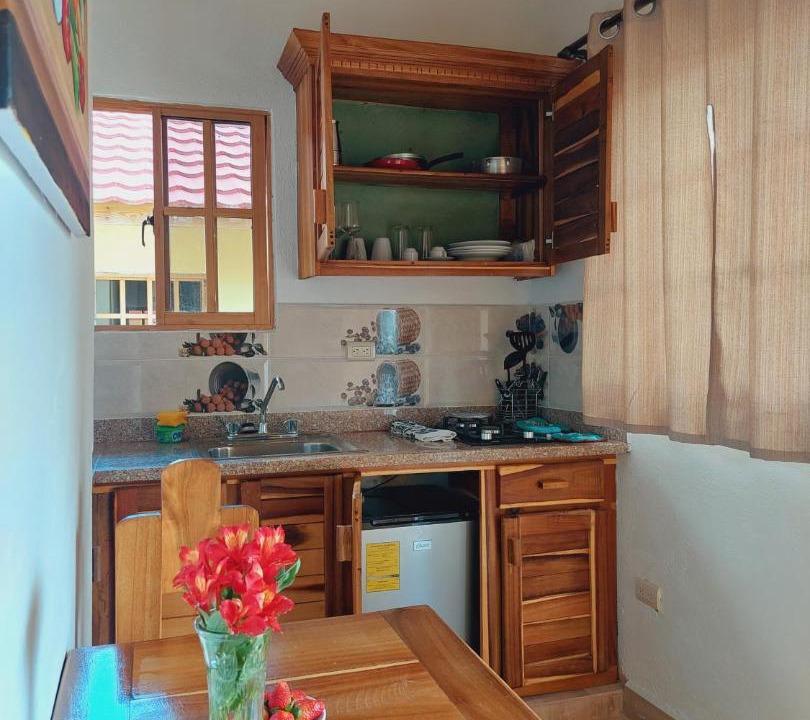 Photo of Kitchen in Constanza