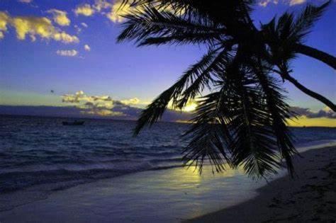 Photo of Others in Ensanche Quisqueya