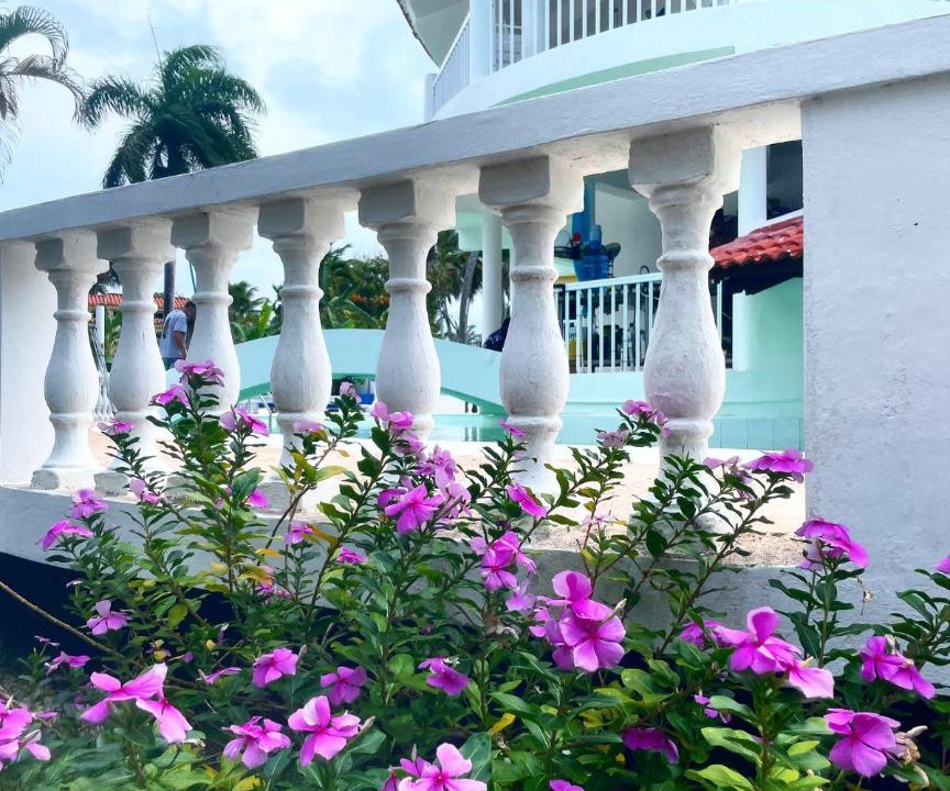 Photo of Others in Cabarete