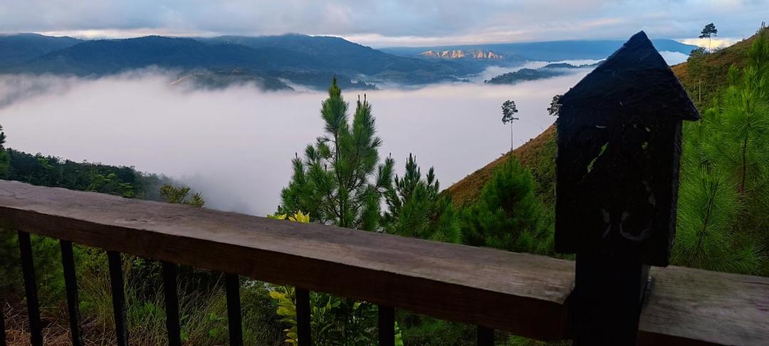 Photo of Others in Constanza