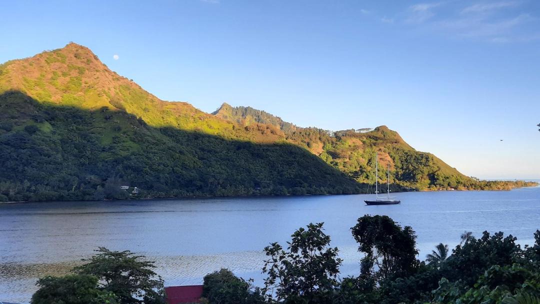 Photo of Others in Pihaena