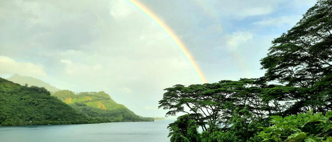 Photo of Others in Pihaena