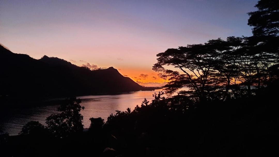 Photo of Others in Pihaena
