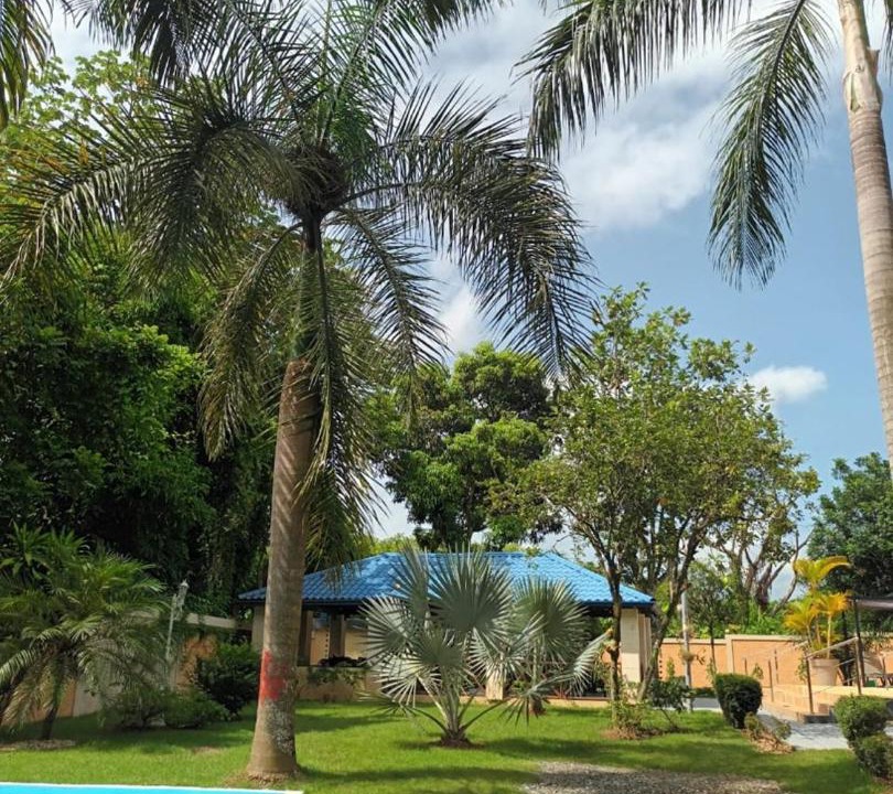 Photo of Outdoor in Pedro Brand