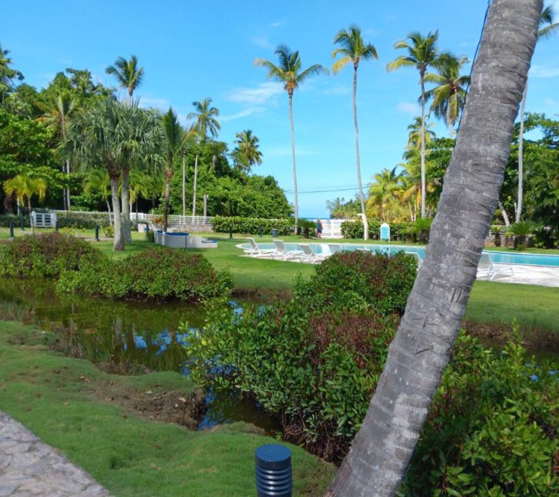 Photo of Others in Las Terrenas