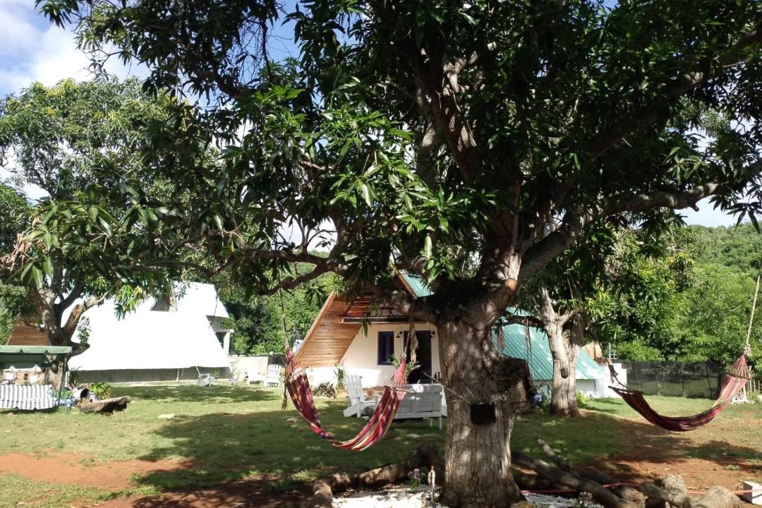 Photo of Others in Las Galeras