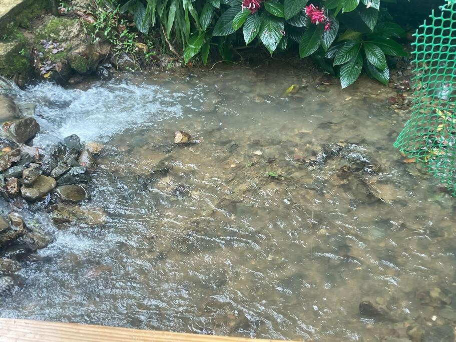 Photo of Others in Constanza
