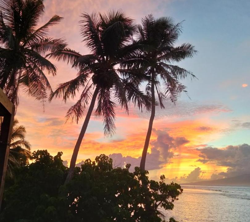 Photo of Others in Moorea-Maiao