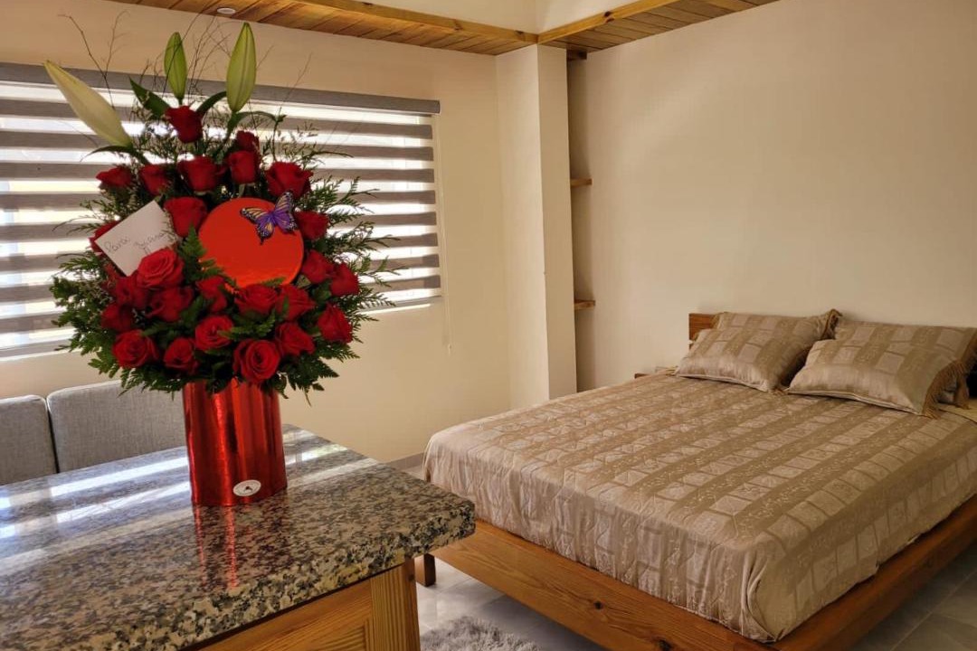 Photo of Bedroom in Constanza