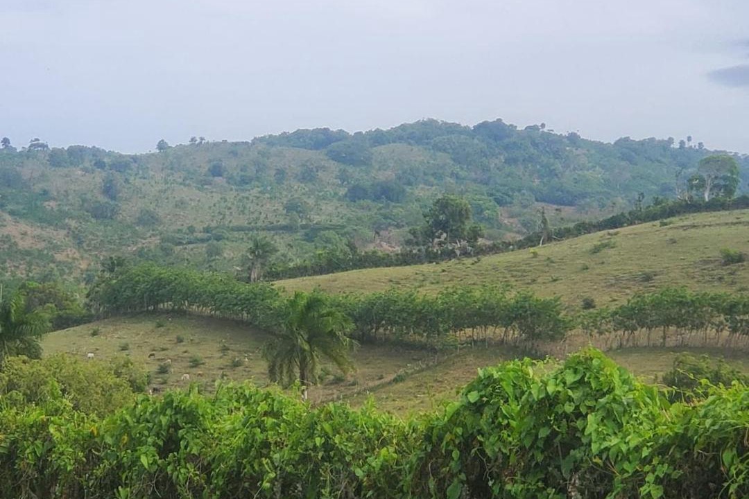 Photo of Outdoor in Barrio Las Yaguitas