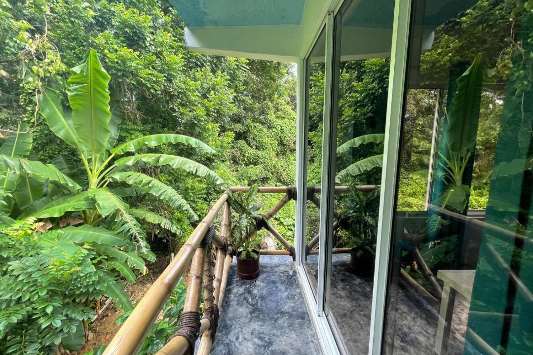 Photo of Patio Balcony in Samana