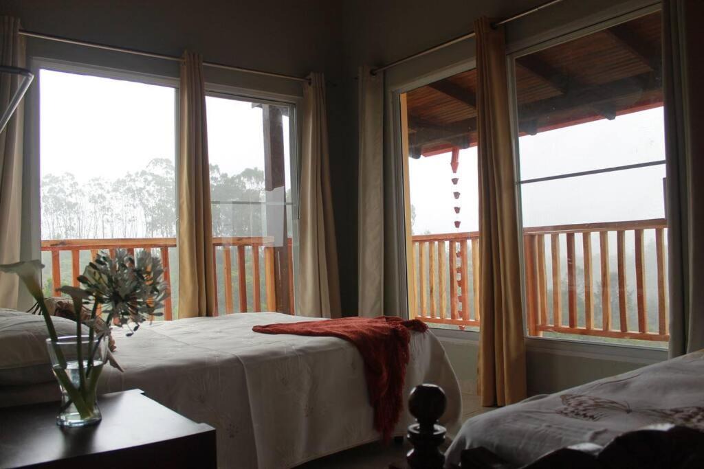 Photo of Bedroom in Constanza
